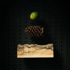 Beviro Bergamia Wood -Produits De Soins beviro bergamia wood huile pour barbe a larome de bois 3