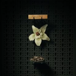 Beviro Honkatonk Vanilla Beard Balm -Produits De Soins beviro honkatonk vanilla beard balm baume a barbe 3