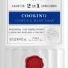 Cremo Citrus & Mint Leaf 2in1 Cooling Shampoo