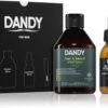 DANDY Beard Gift Box