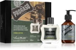 Proraso Set Beard Classic